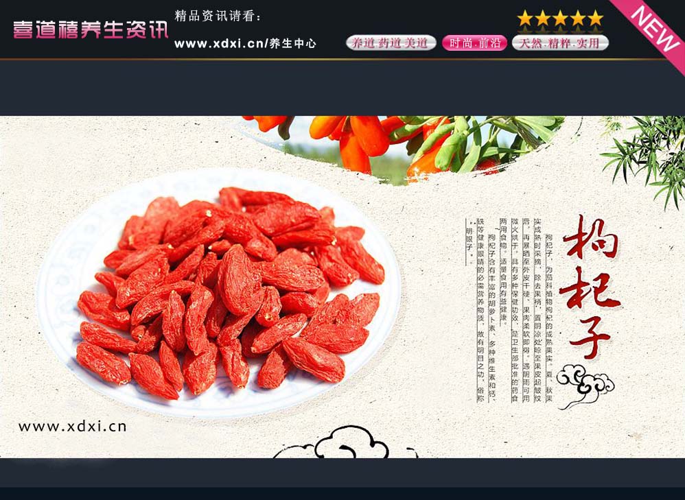  數字特刊 ㈠期